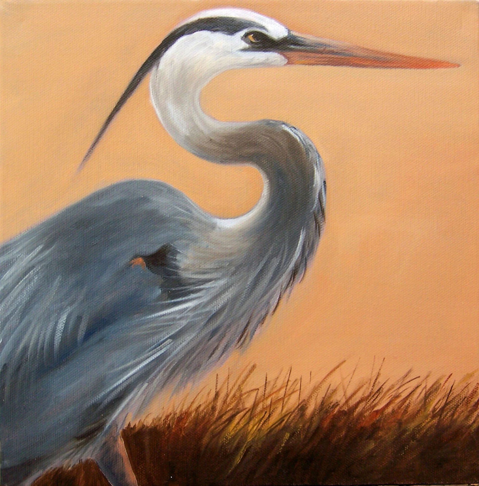 Heron*