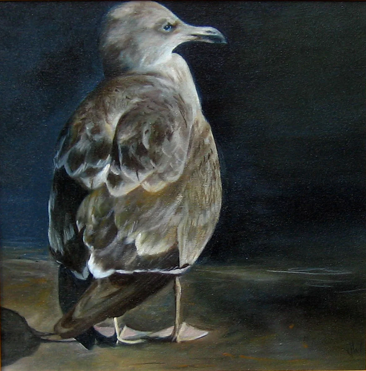 Young Bird*
