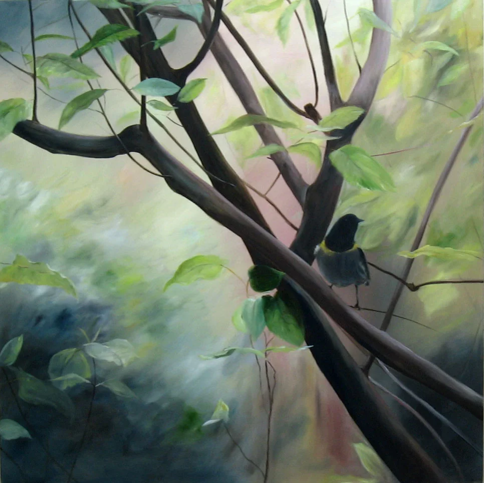 On A Limb