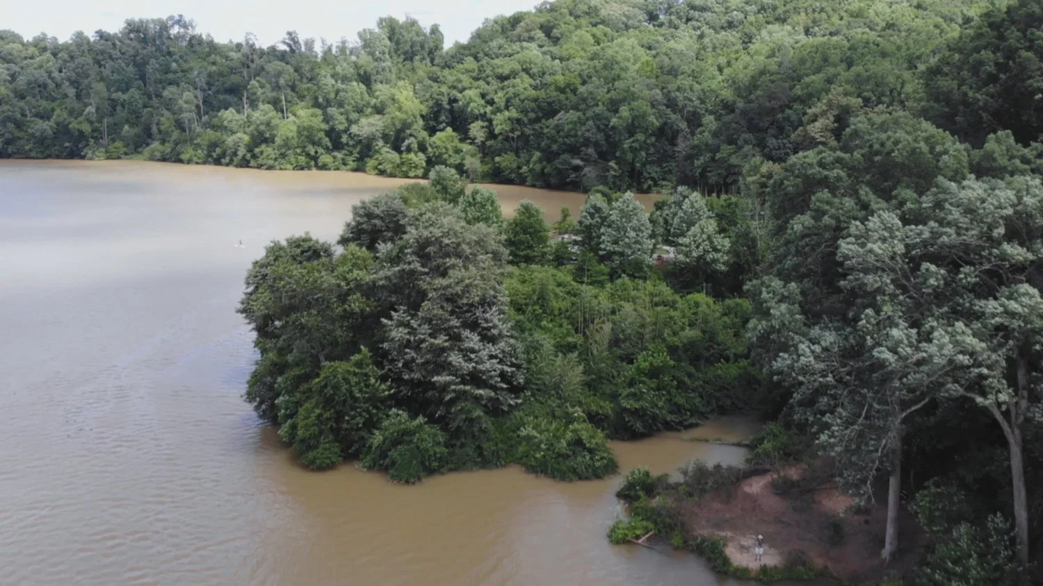 Aerial view of a river with muddy water surrounded by dense green trees and forest.