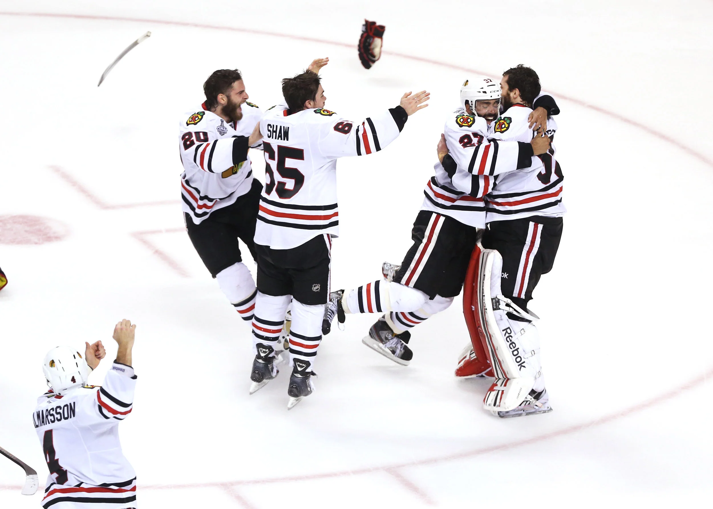 hawks2013Sized.jpg