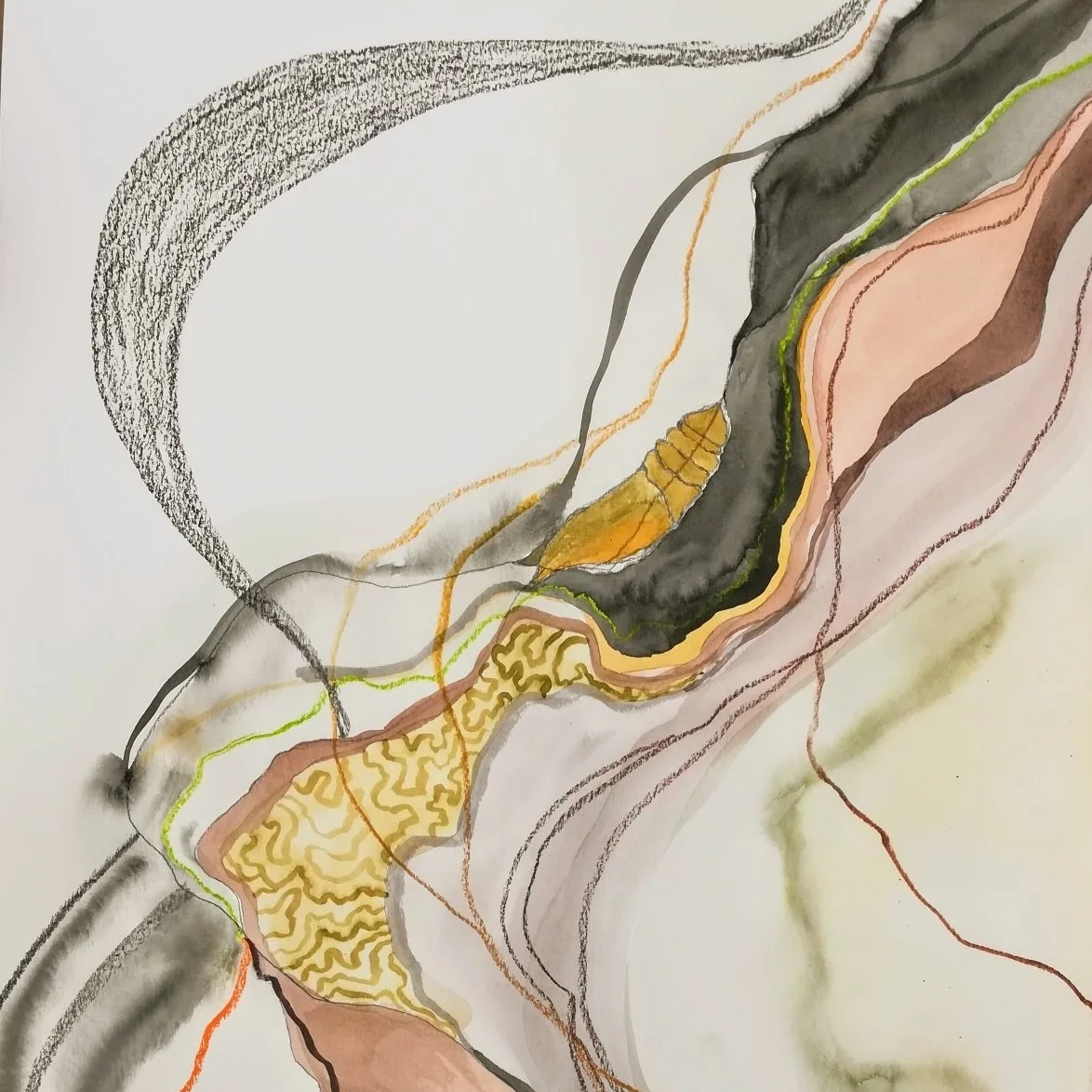 Amanda Kidd Schall is a printmaker and mixed media artist. She creates abstract landscapes that are inspired by her wanderings in nature and around her garden. She fuses the micro and macro with broad strokes and tiny detail work. Amanda often embro…