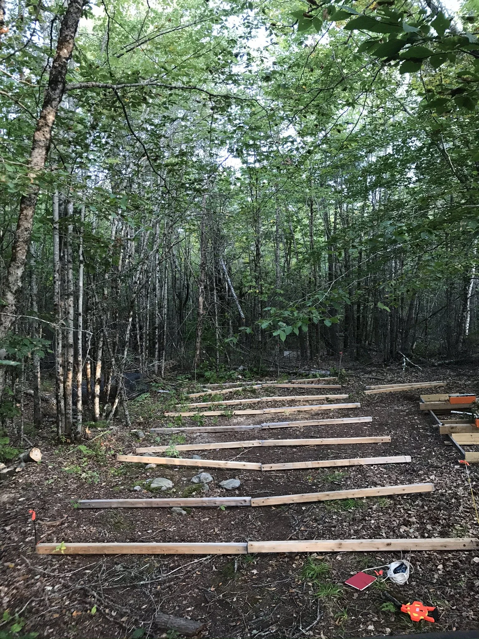 Winter Canoe Build 01:  A New Chapter