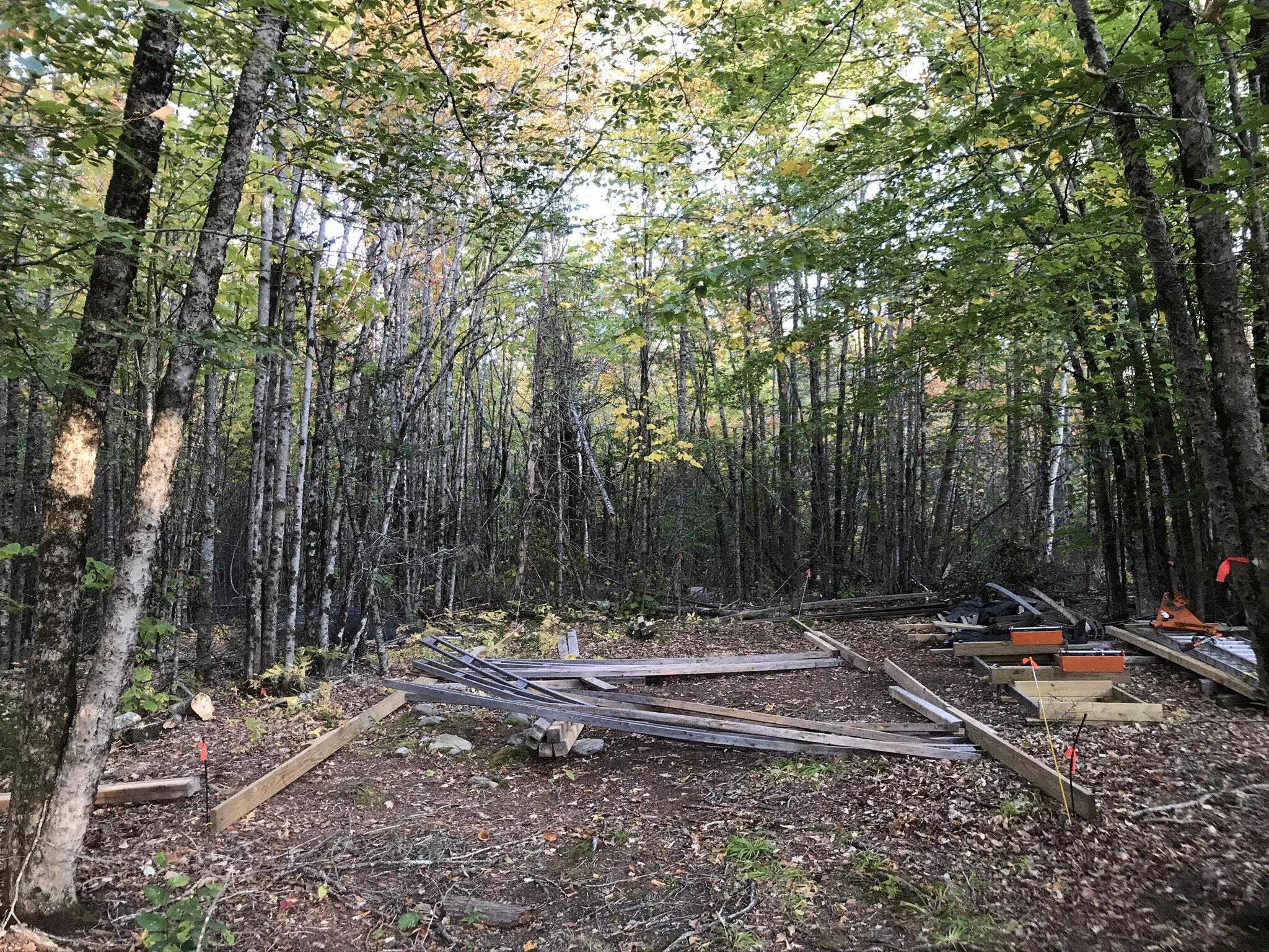 Winter Canoe Build 04: Establishing the Footprint