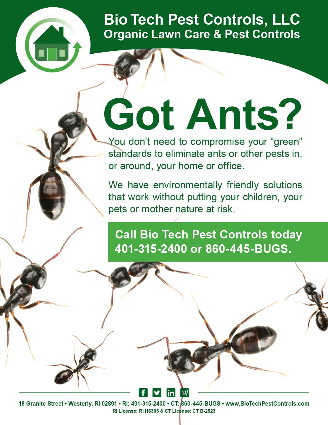 Ants_Flyer.jpg