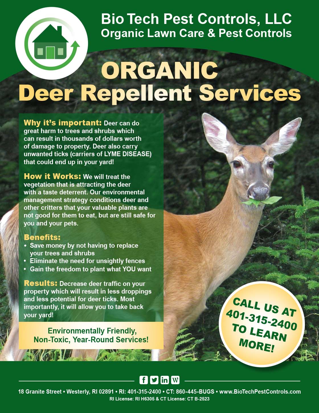 Deer_Flyer.jpg