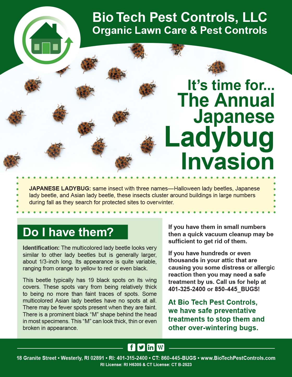 Ladybug_Flyer.jpg