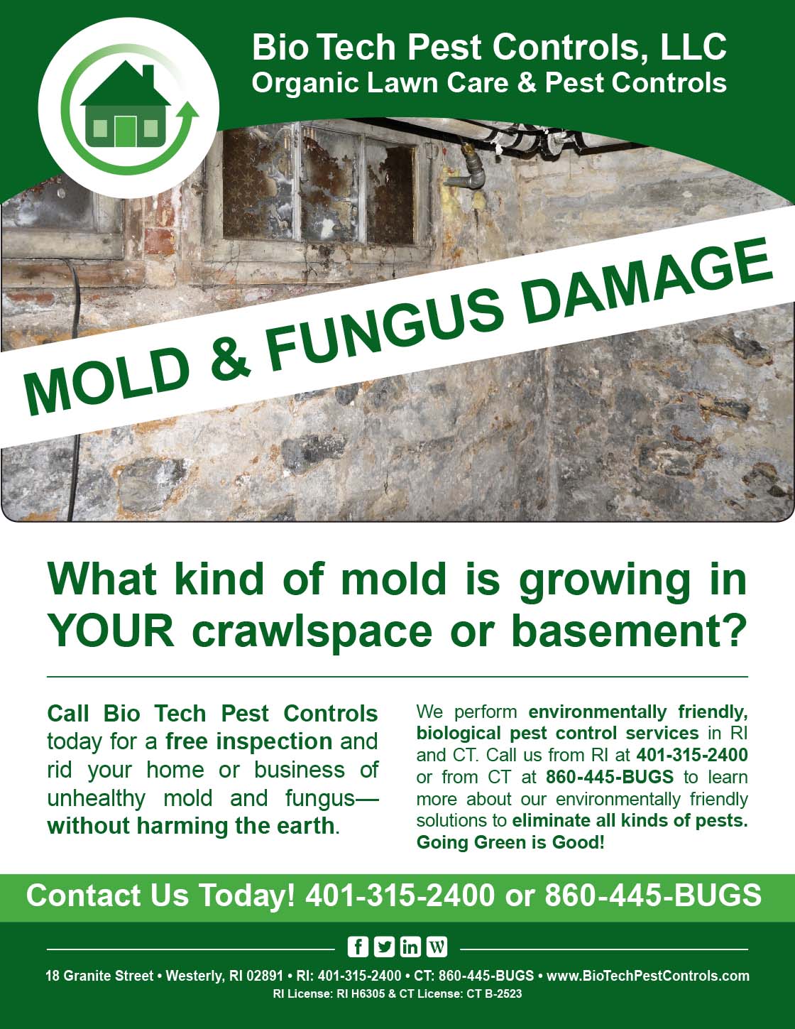 Mold_and_Fungus_Flyer.jpg