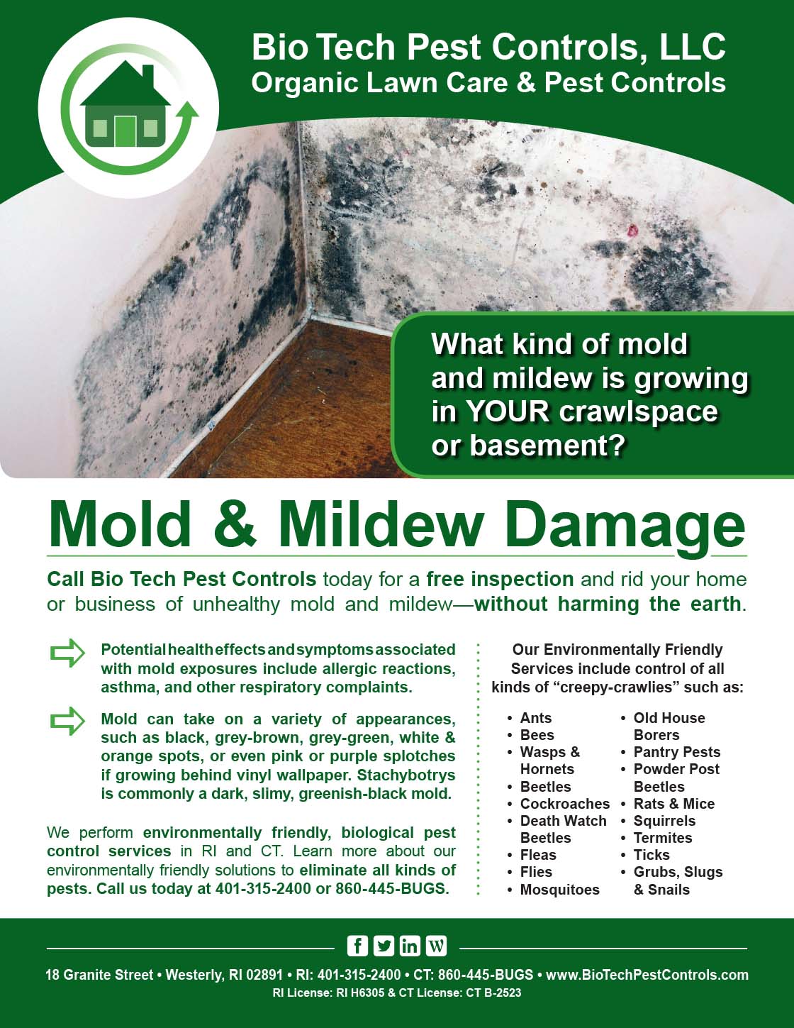 Mold_Mildew_Flyer.jpg