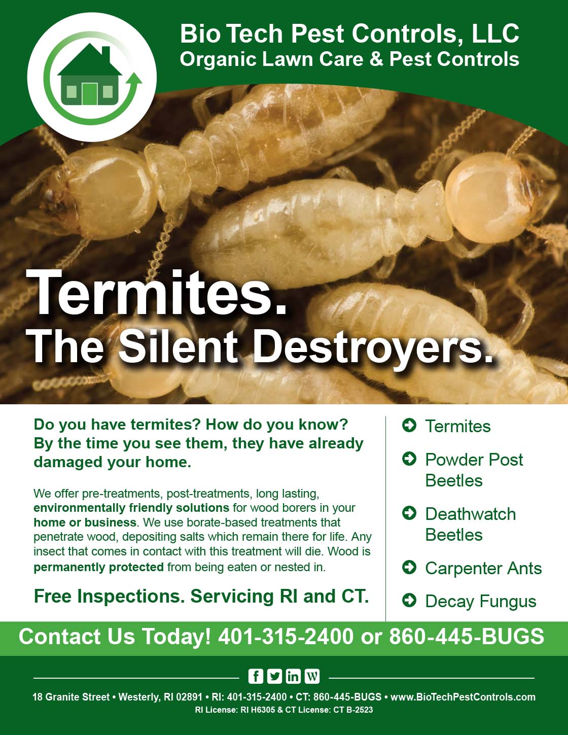 Termites_Flyer.jpg