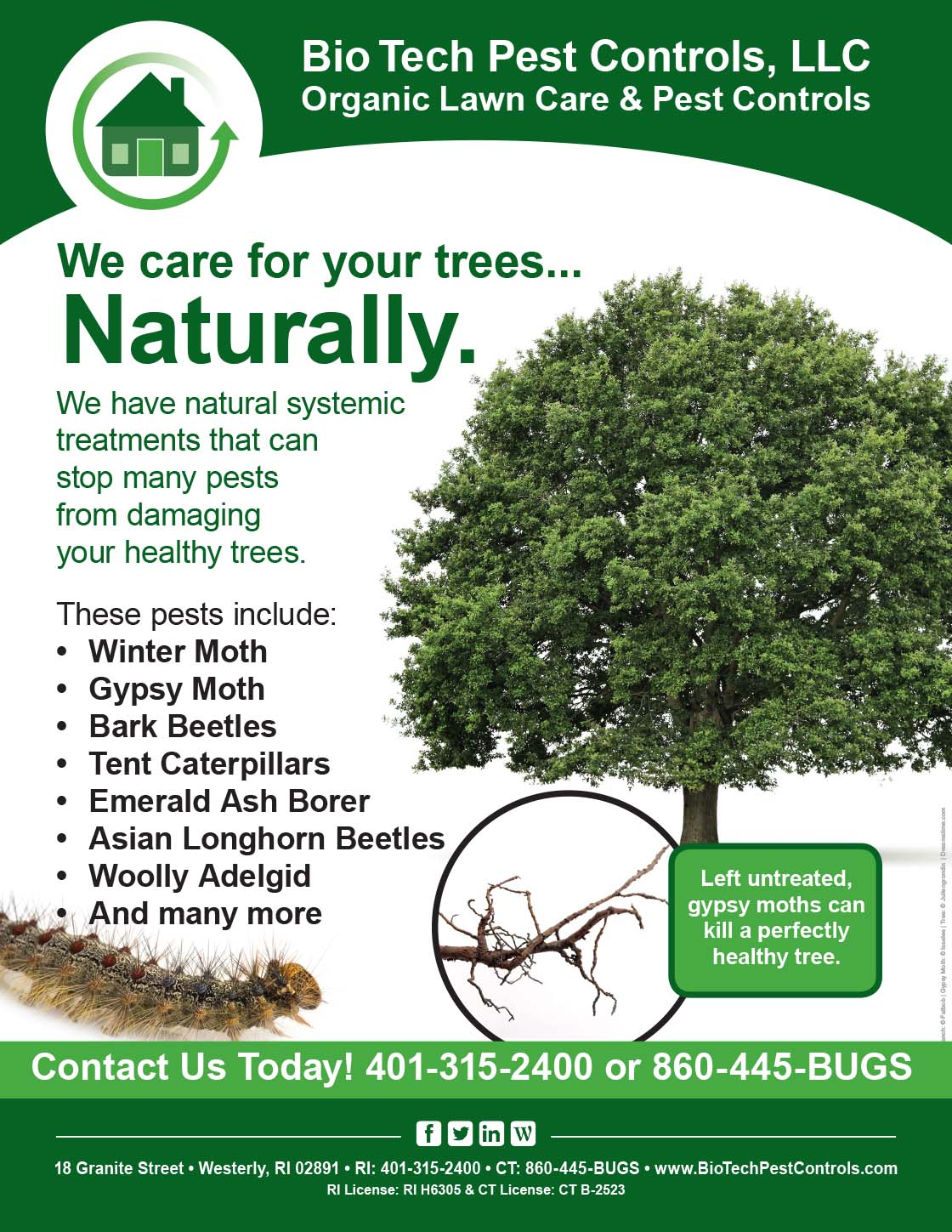 Tree_Care_Flyer.jpg