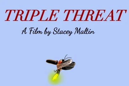 TRIPLE THREAT - FEATURE FILM