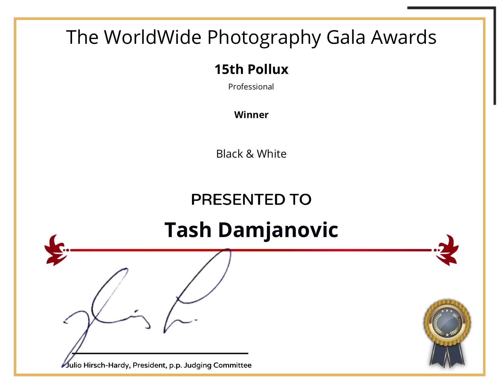 The Worldwide Photography Gala Awards _ FotoNostrum Certificate-2.jpg