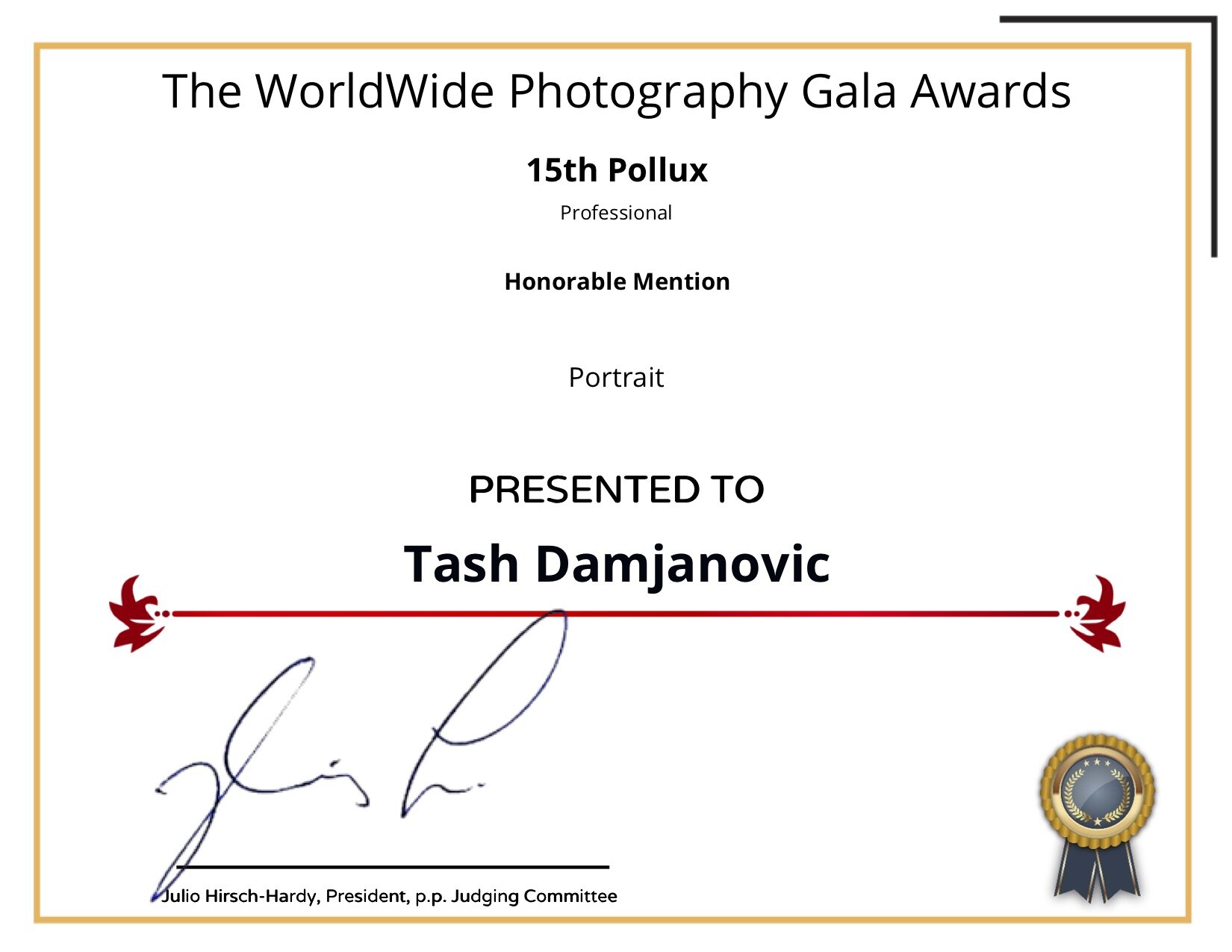 The Worldwide Photography Gala Awards _ FotoNostrum Certificate.jpg