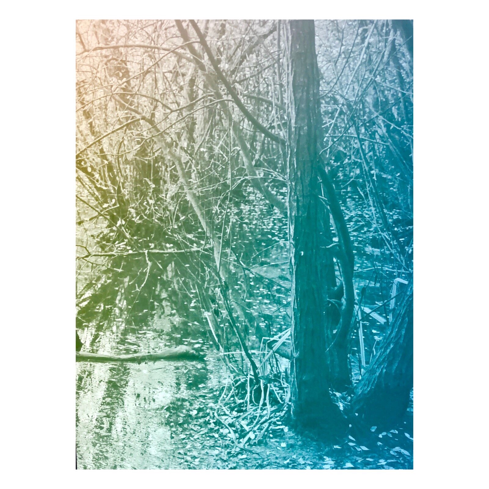 10EFDDE0-56B5-4084-A1DA-623D832B3193.jpeg