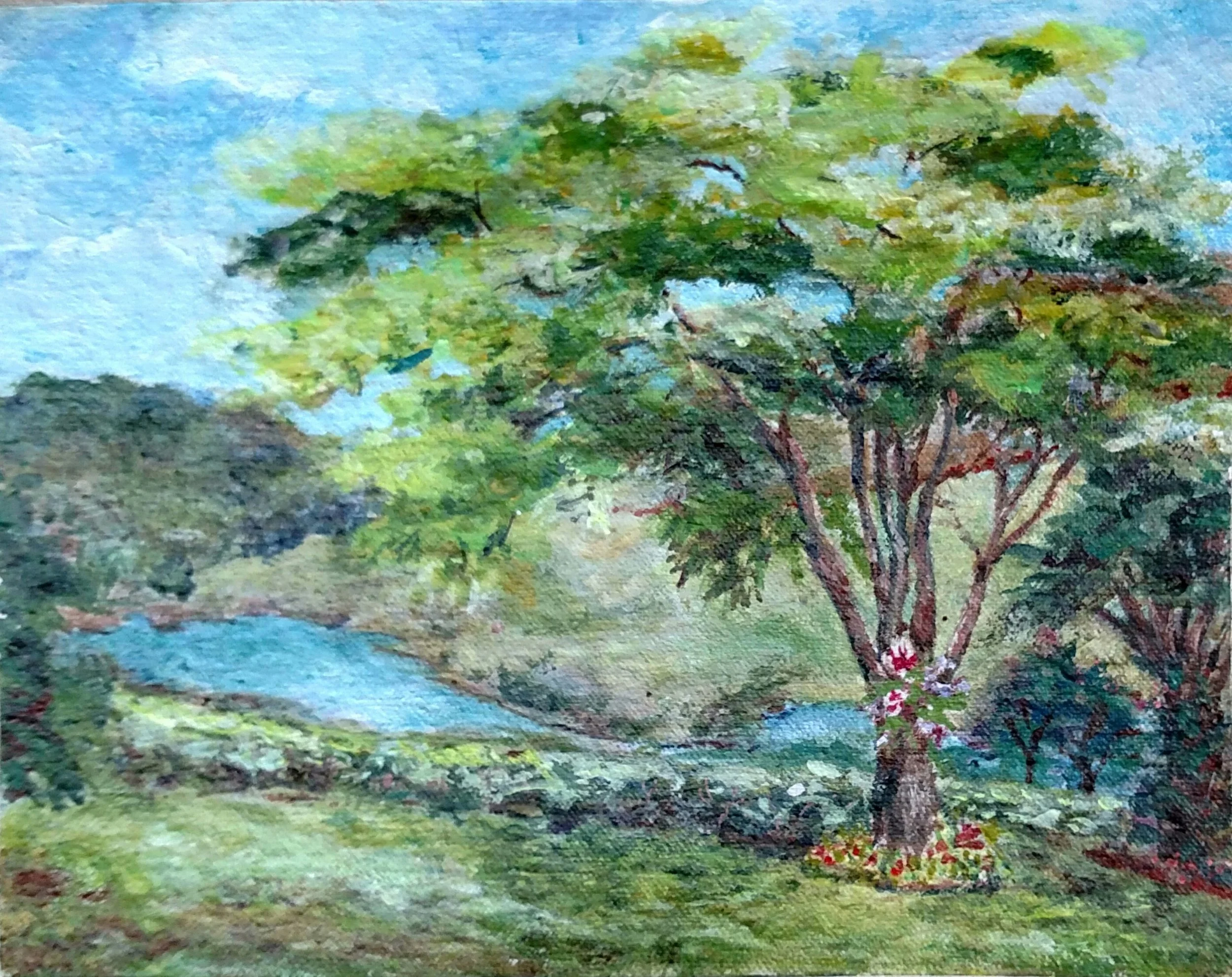 Orchids in a Tree