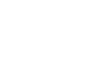 ARROW DEVELOPMENT