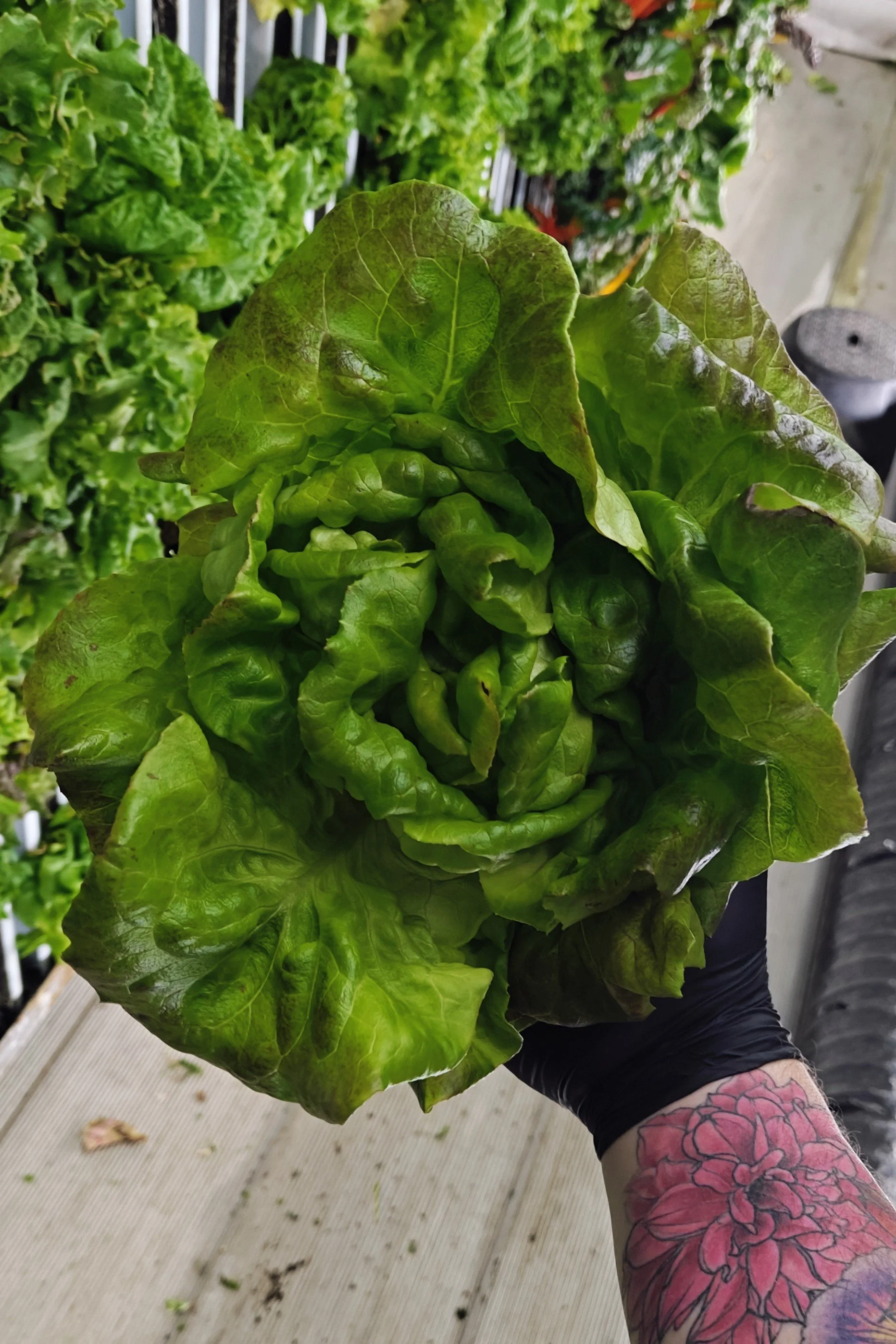 IMG20260401122323~2.jpg