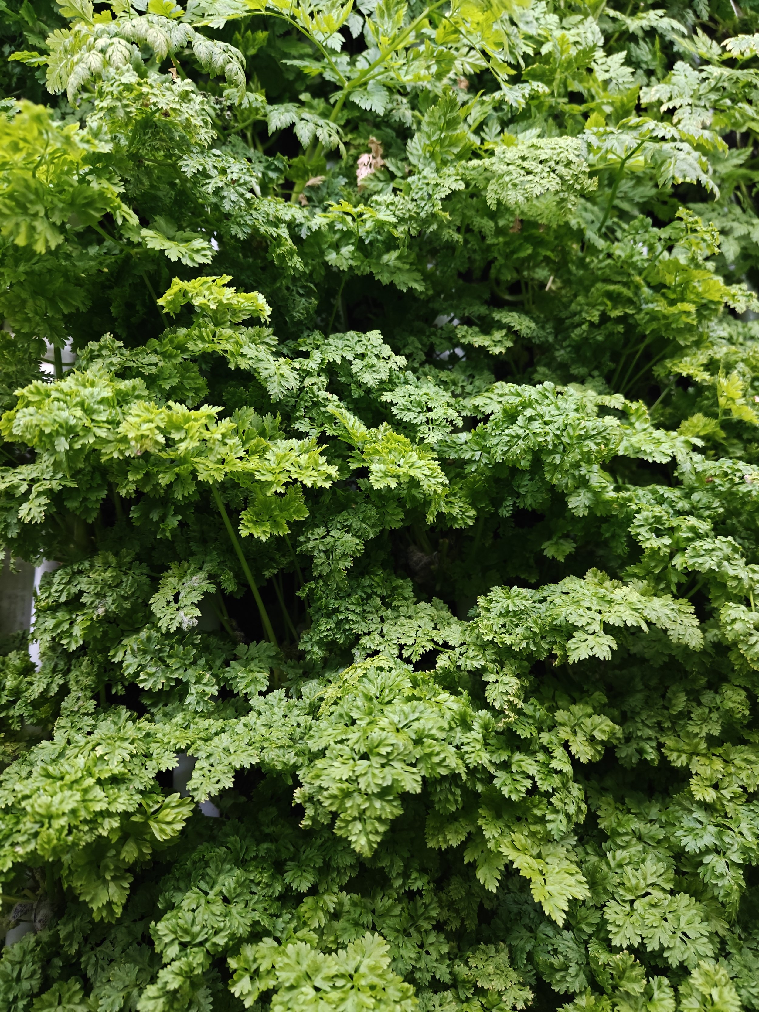 IMG20251111143856.jpg