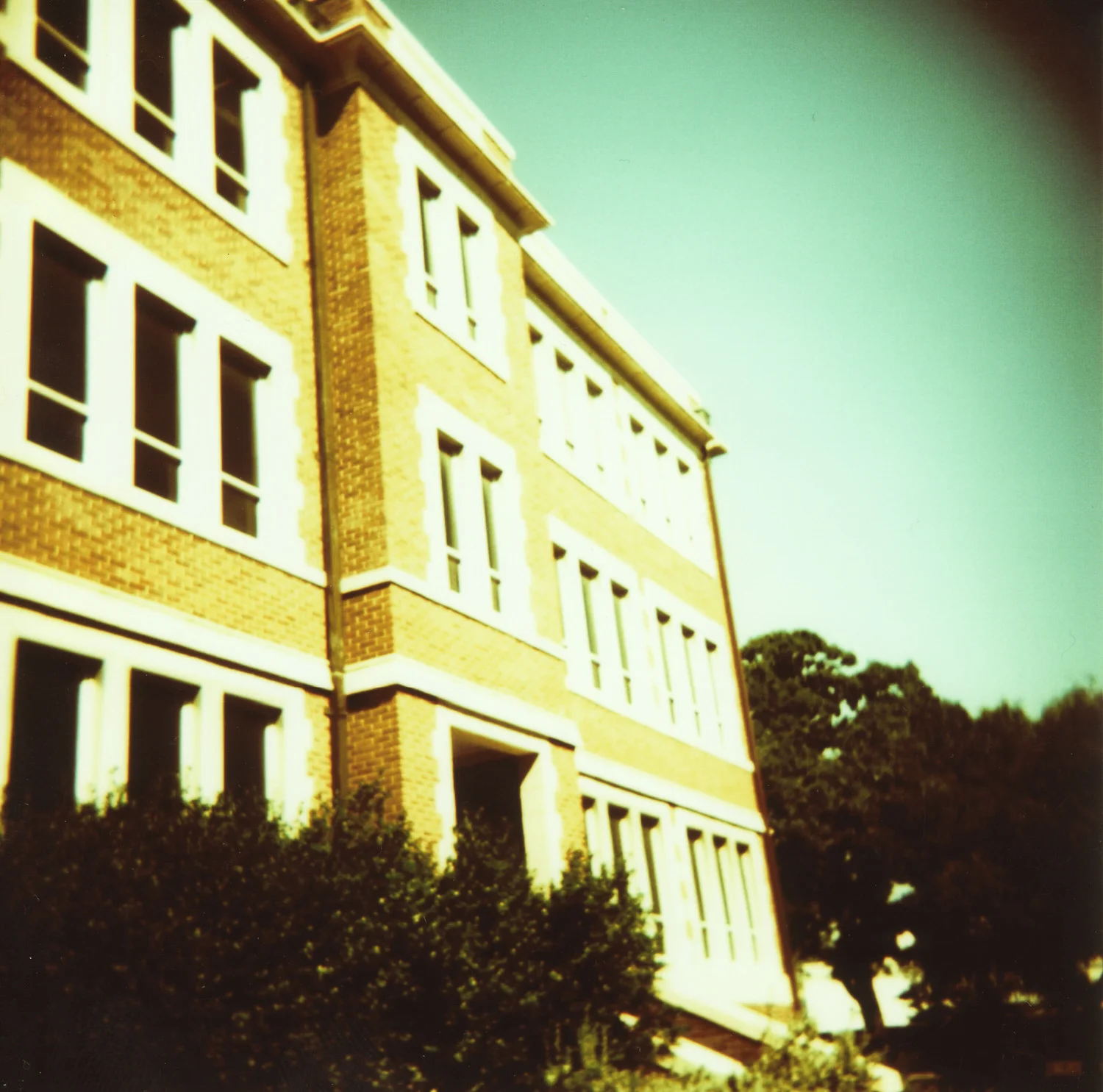 holga-2.jpg