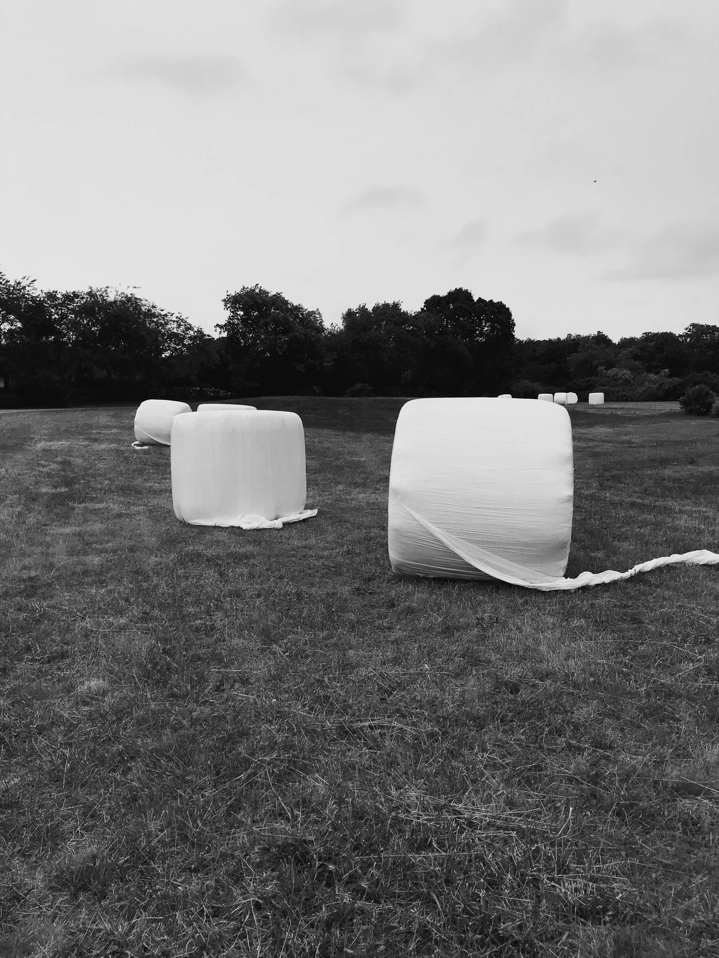 AfterlightImage 10.jpg