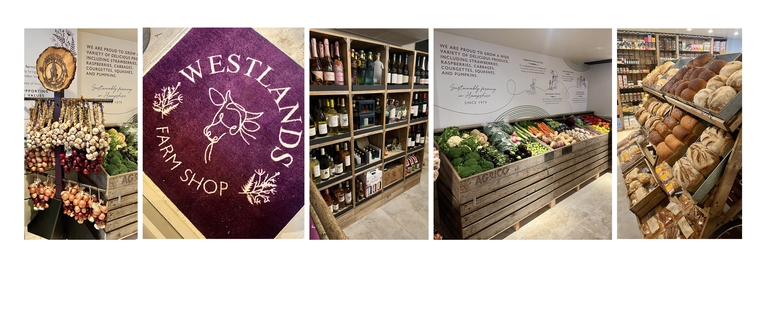 Farmshop interior renovation, room makeover, space planing for fresh produce displayed in cool plates, wine and bread display, custom branded doormat