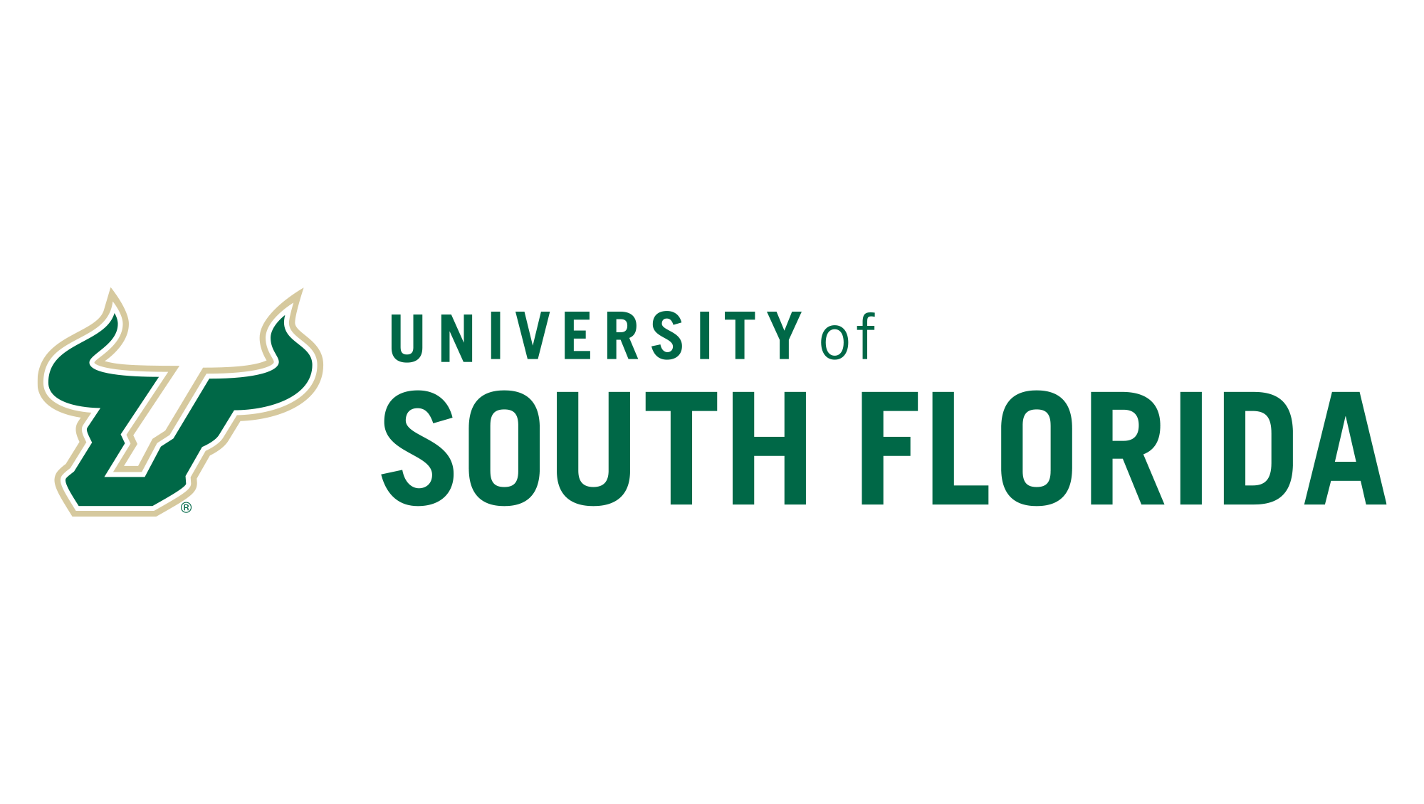 University of South Florida