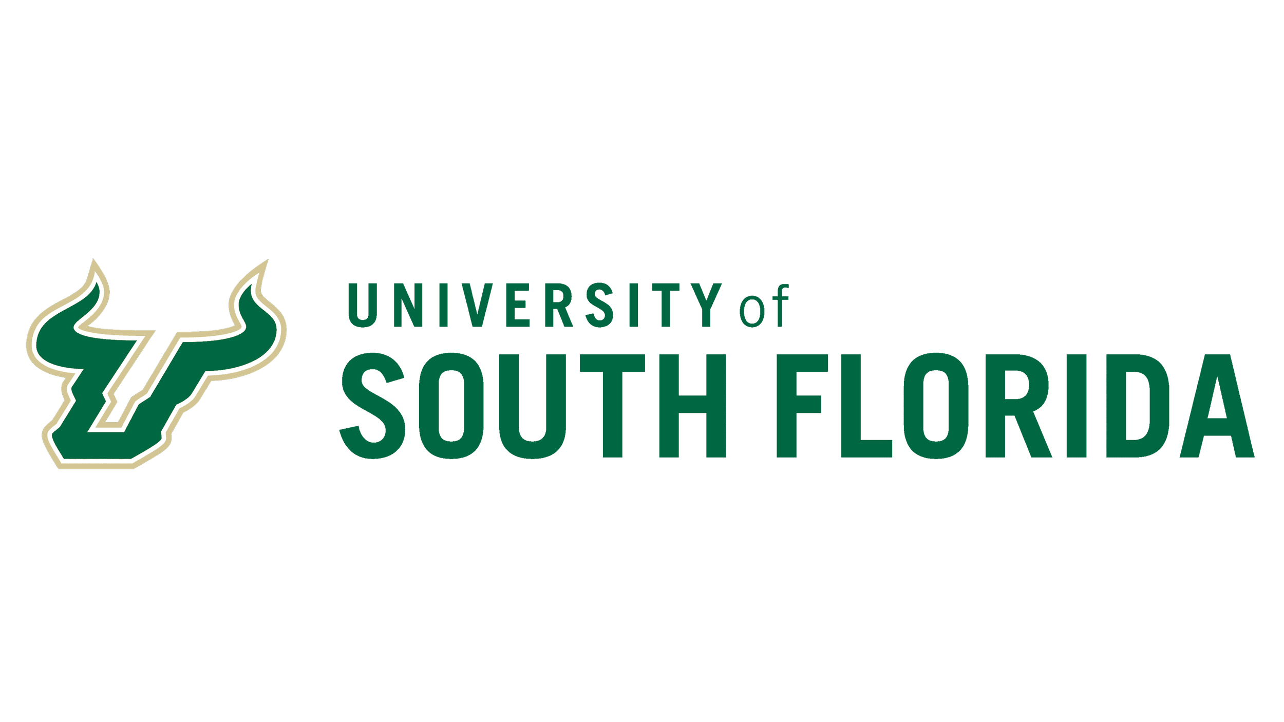 University of South Florida