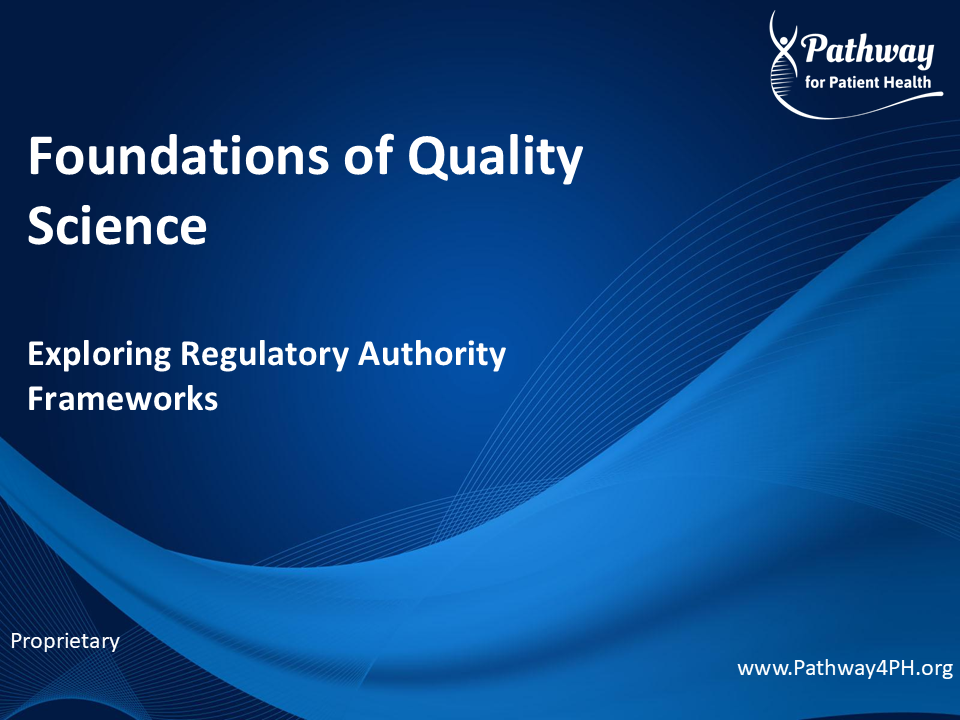 F02b - Exploring Regulatory Authority Frameworks