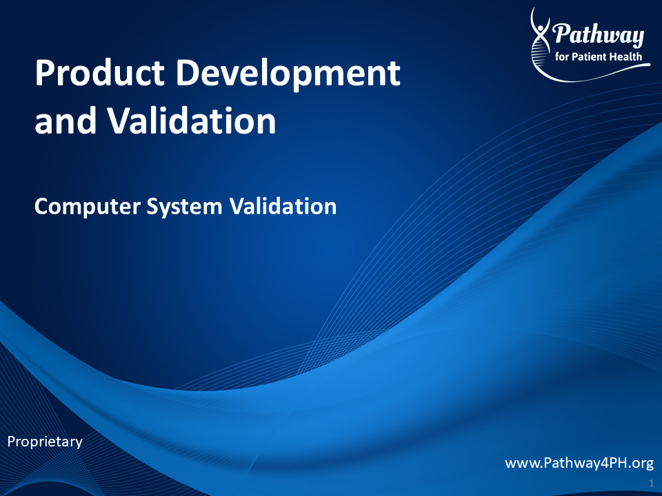 PV21b - Computer System Validation