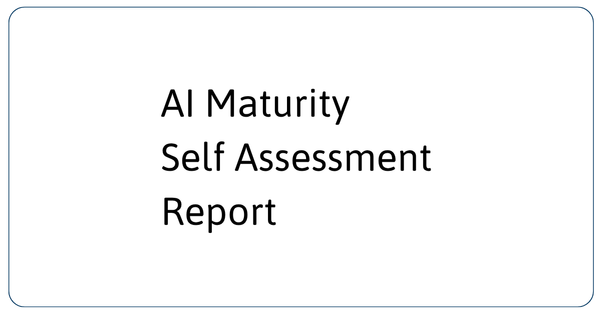 Maturity Level Characterization of AI Capabilities for Self-Assessment