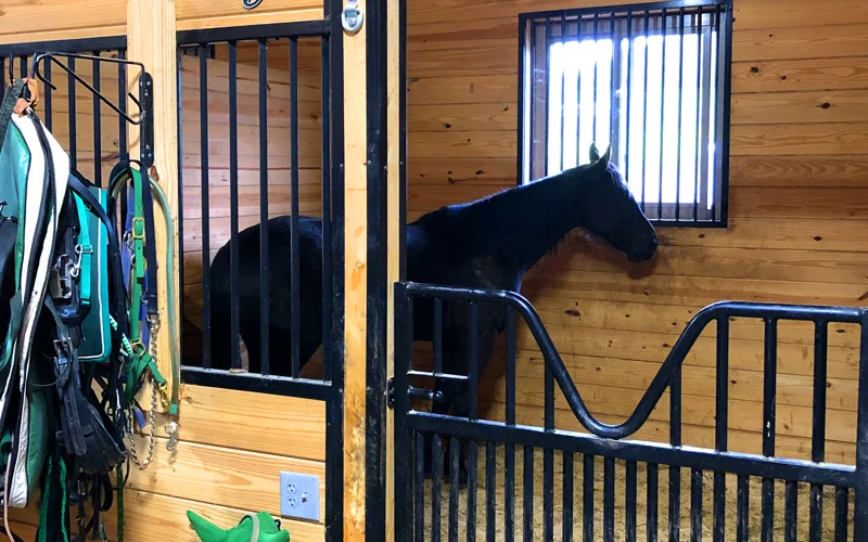 About-Stalls.jpg