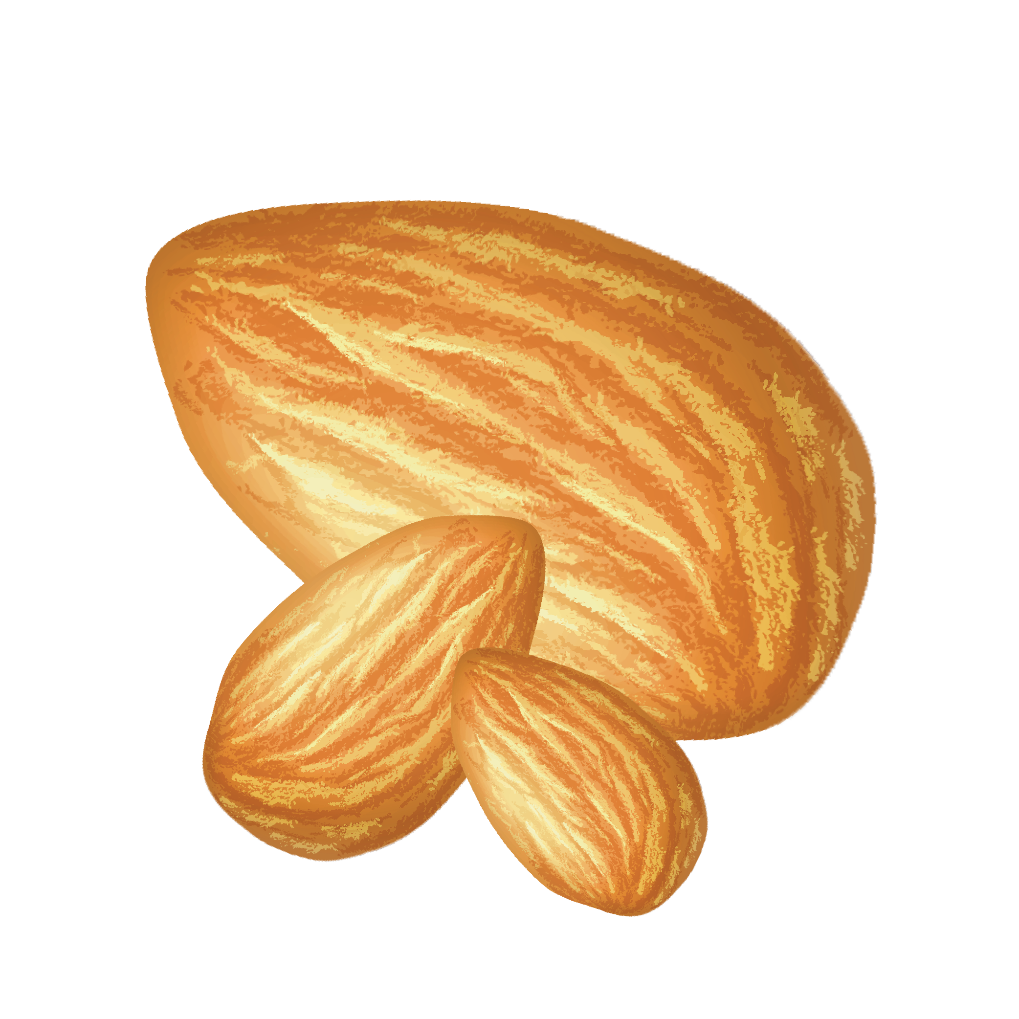 almond.png