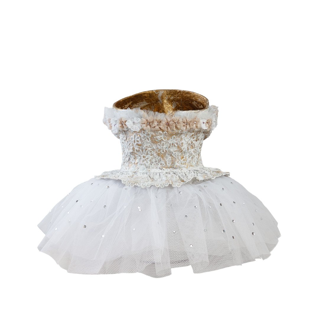 251108 CDMX MercedesGodoy_TabathaVizuet B.jpg