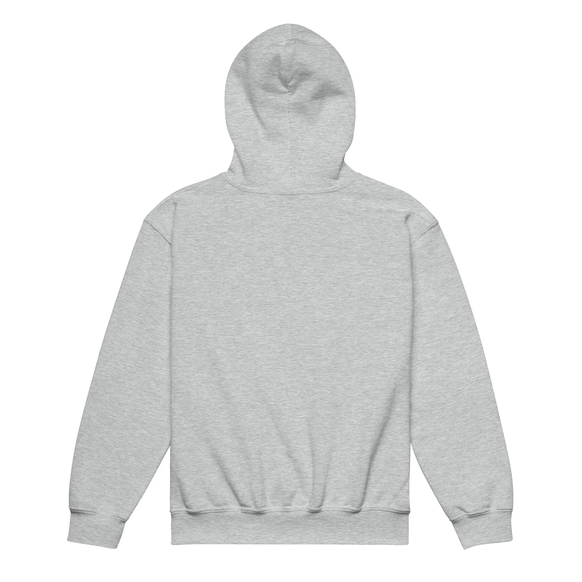 youth-heavy-blend-hoodie-sport-grey-back-69a281b6a1a5e.jpg