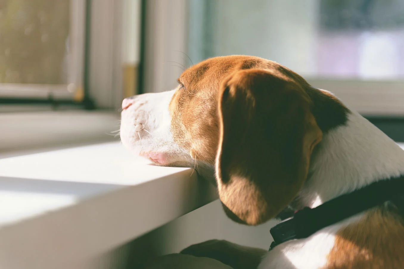 The Waiting Game | THE VIRAL Journal, Part 9