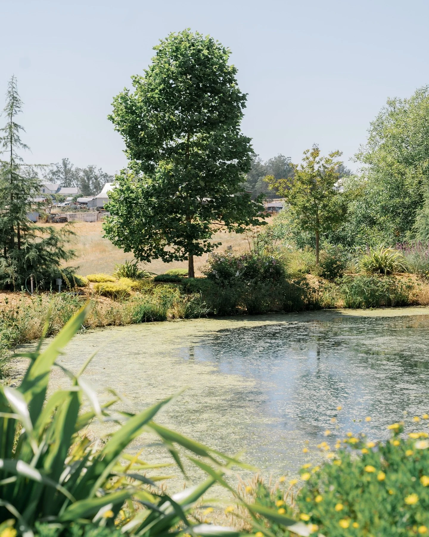 A dream backdrop for your vows 🩷

Photo by @alexandriamarie.photo 

#EventVenue #TheBarn #GamboniniFamilyRanch #Weddings #NowBooking #SonomaCounty #2026Bride #2027Bride