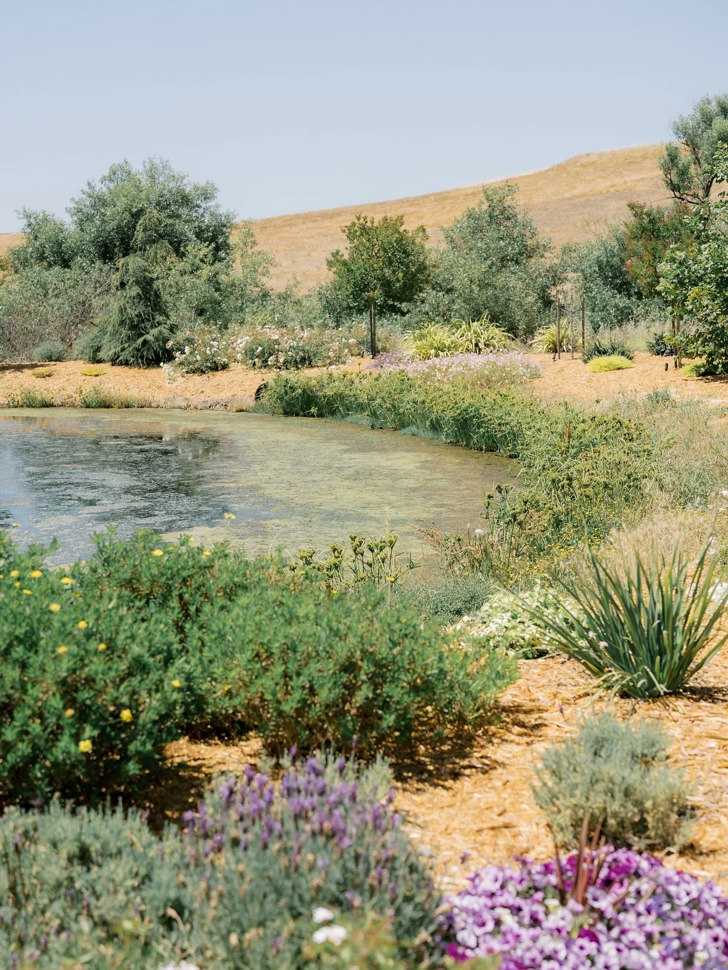 it&rsquo;s all in the details ✨ 

photo credit to @alexandriamarie.photo 

#2026Bride #2027Bride #EventVenue #WeddingVenue #NowBooking #SonomaCounty #Weddings