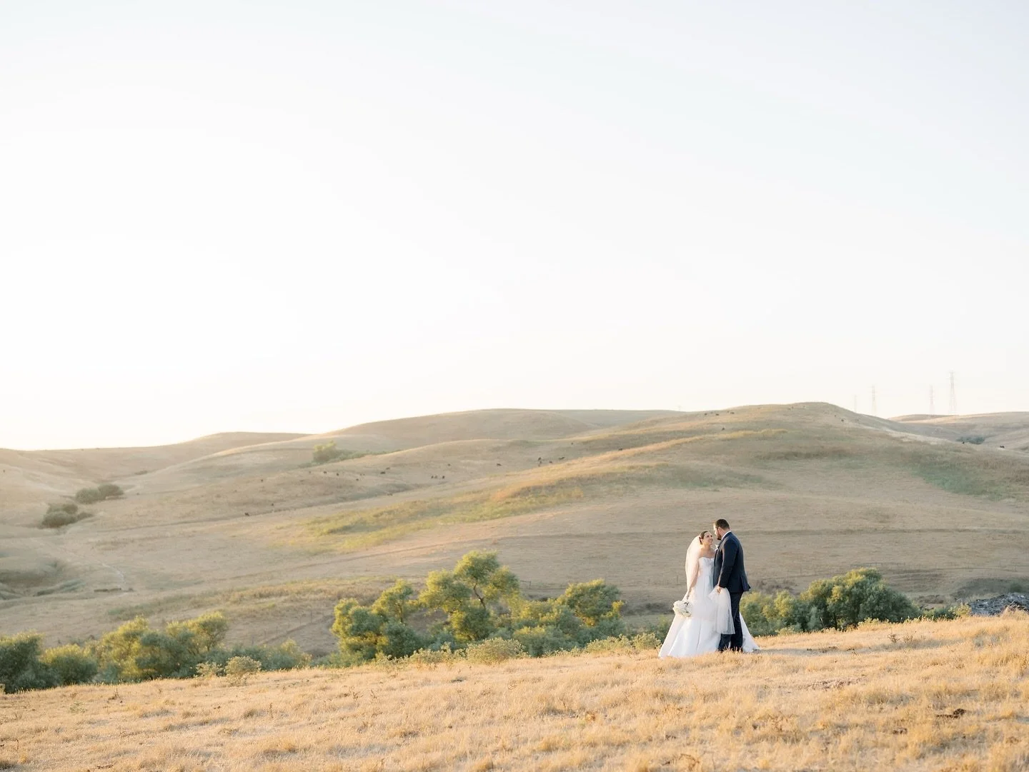 quiet moments on the hillside 🤍

📸: @alexandriamarie.photo 

#2026Bride #2027Bride #EventVenue #WeddingVenue #NowBooking #SonomaCounty #Weddings