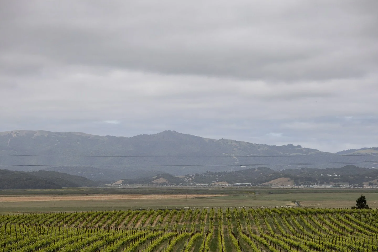 There&rsquo;s something magical about Sonoma County in the spring 🌱

Photo by @sabineschererphotography 

#2026Bride #2027Bride #OrganicFarm #EventVenue #WeddingVenue #NowBooking #SonomaCounty