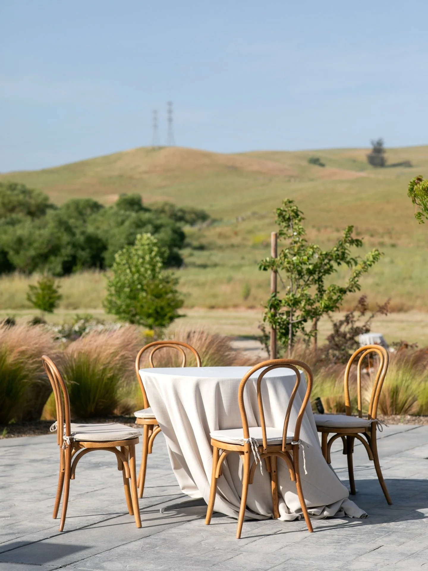 Serene cocktail hour views 🌾

photo: @sabineschererphotography 
planning + design: @quintanaevents 
rentals: @encoreeventsrentals 

#2026Bride #2027Bride #EventVenue #WeddingVenue #SonomaCounty #Weddings #BarnWedding #NowBooking