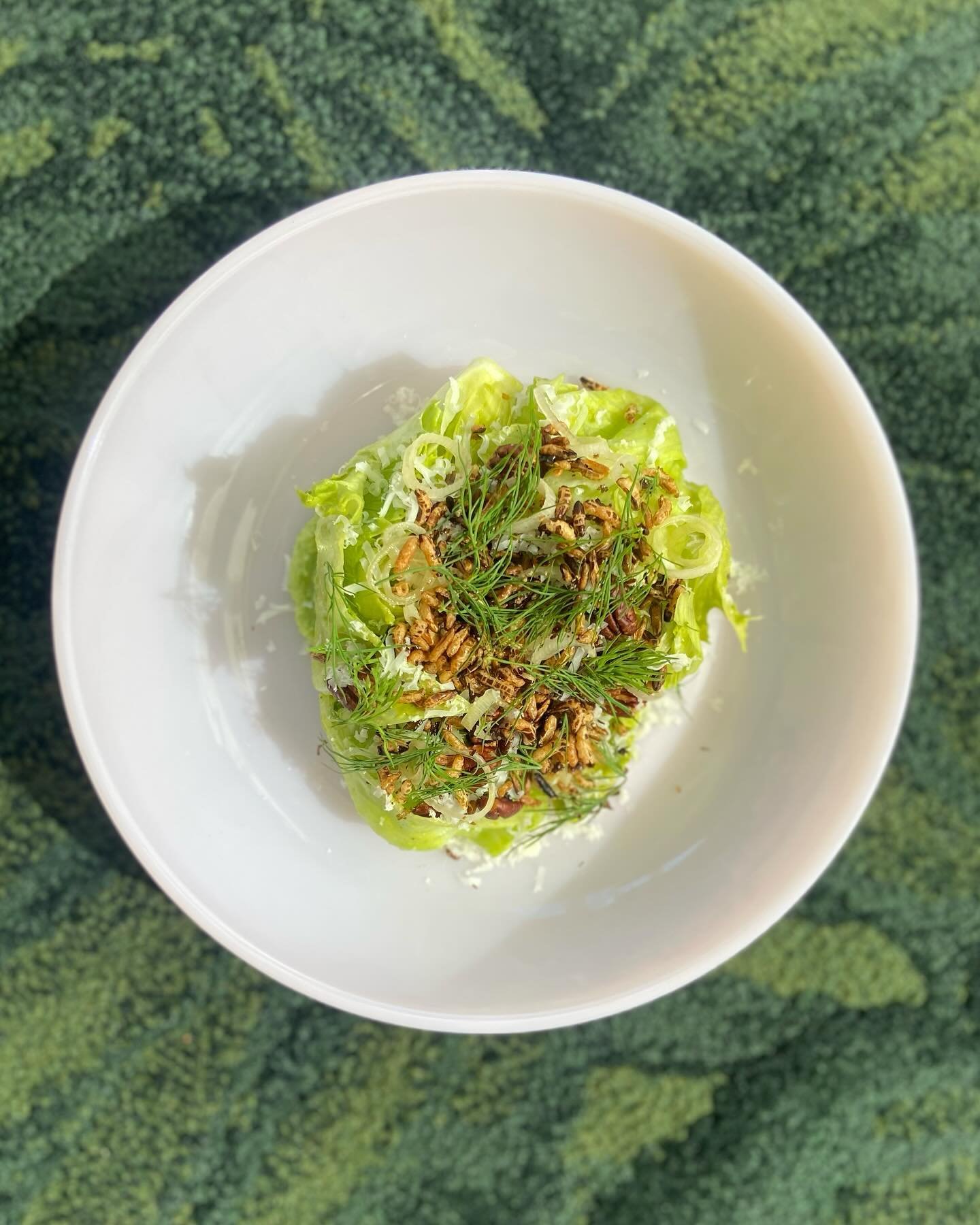 New Salad on the Menu for today:
@full_belly_farm Ice Berg Wedge
Fava Bean Dip, Green Garlic Dressing, Tiny Pecans
Cabrillo Cheese @stepladdercreamery, Puffed Wild Rice Dill
*
Modern #funluxury