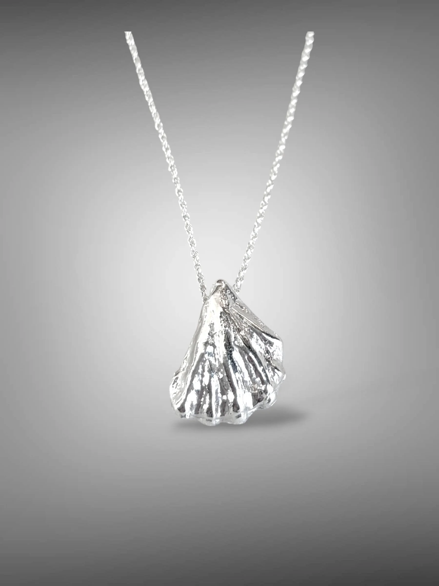 Cat's Paw Shell Necklace