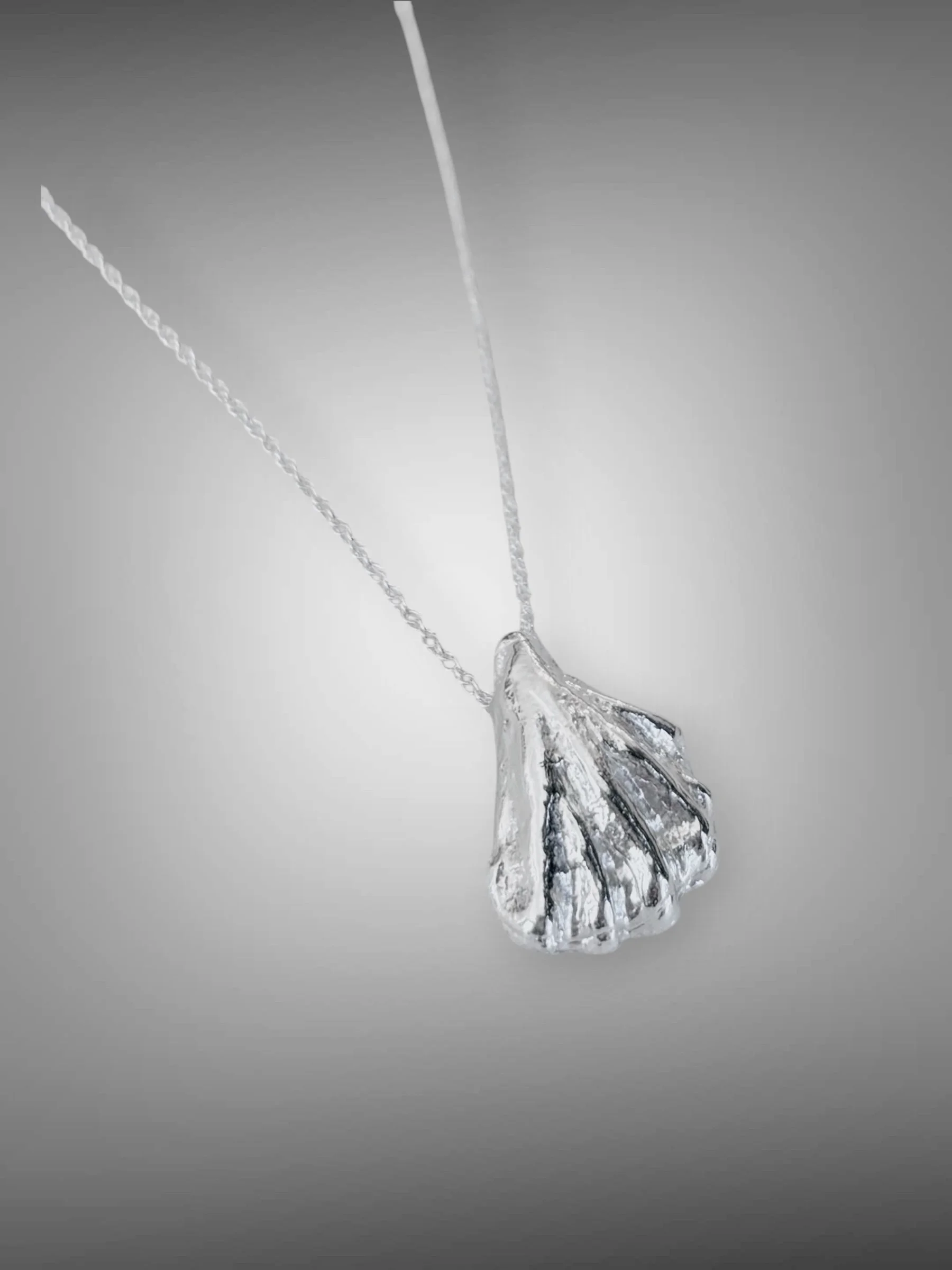 Cat's Paw Shell Necklace b.jpg