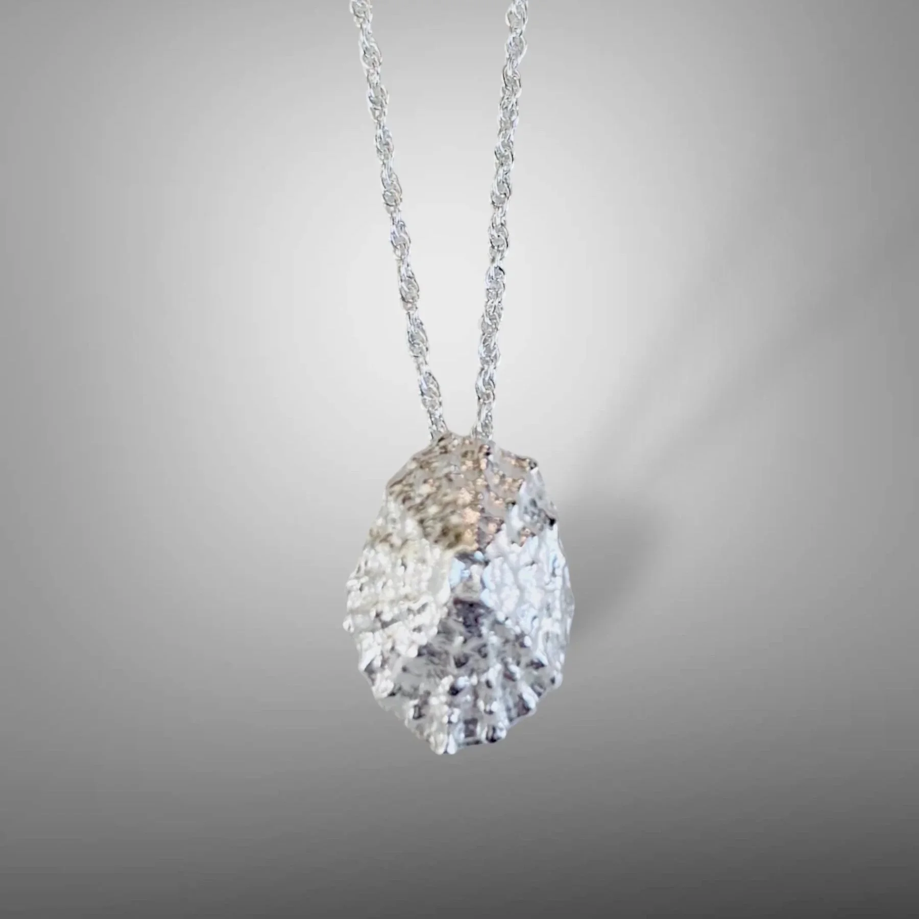 Mini+Limpet+Shell+Necklace+a.jpg