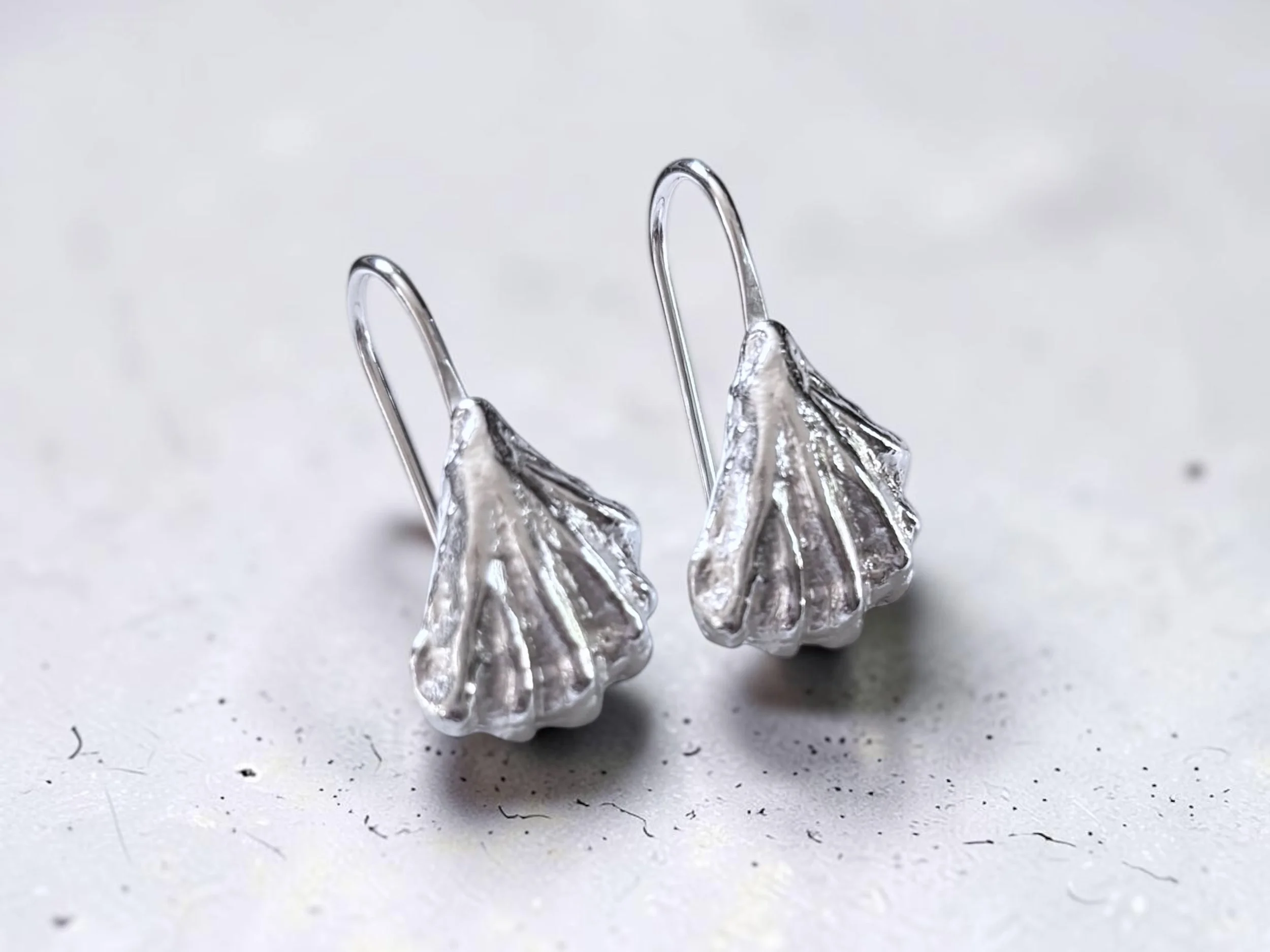 Cat's Paw Shell Earrings-Wire c.jpg (Copy)