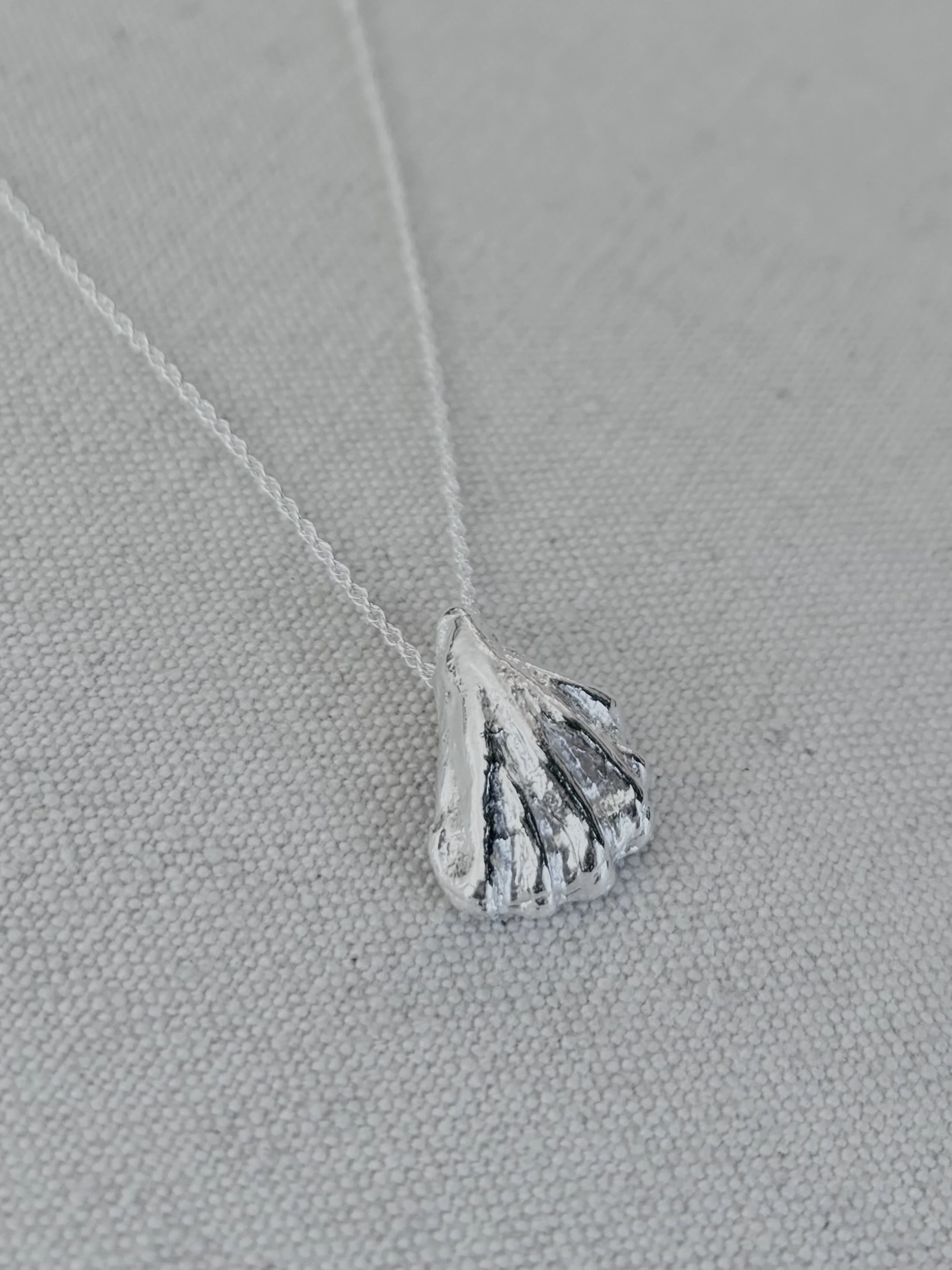Cat's Paw Shell Necklace c.jpeg