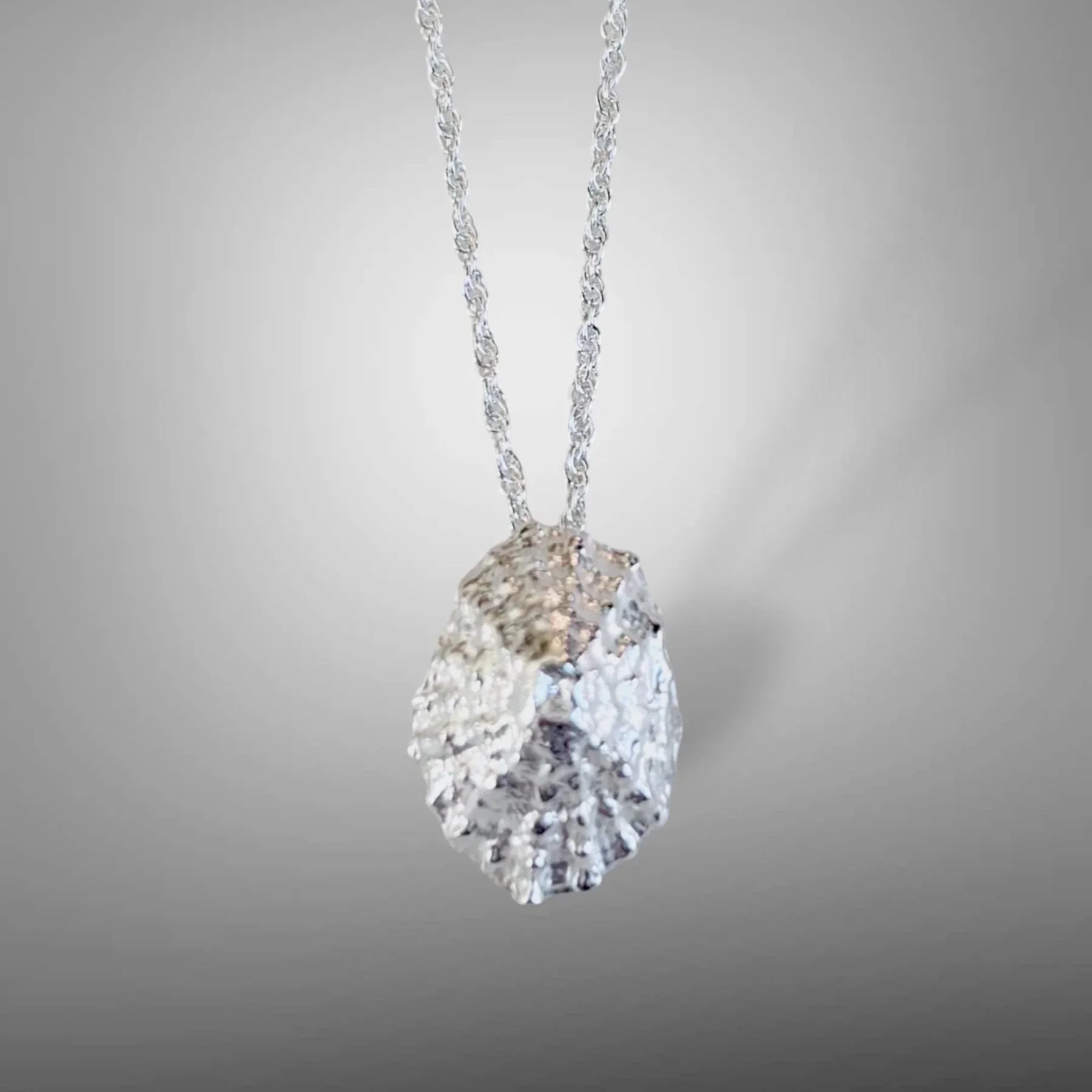 Mini+Limpet+Shell+Necklace+a.jpg