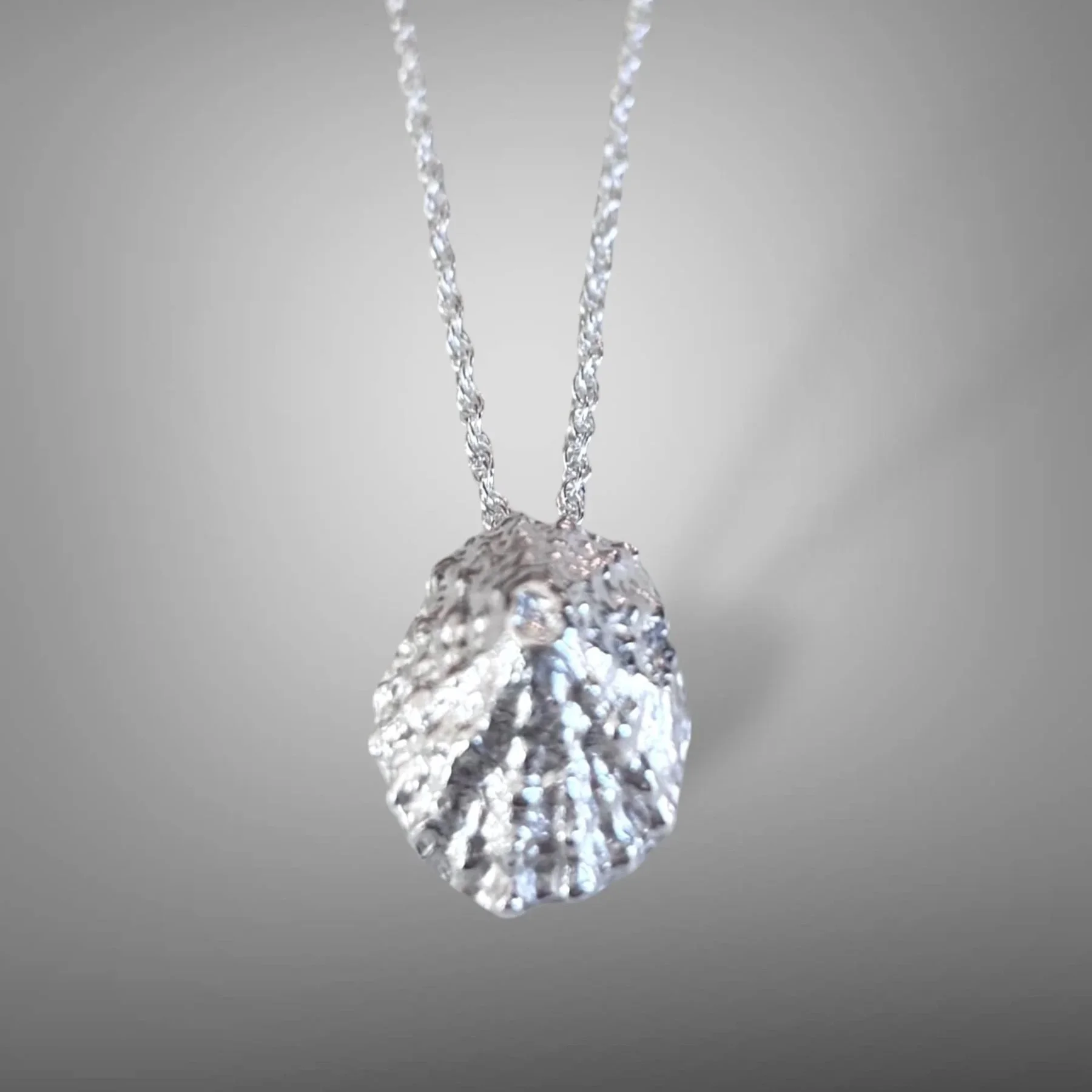 Mini+Limpet+Shell+Necklace+b.jpg