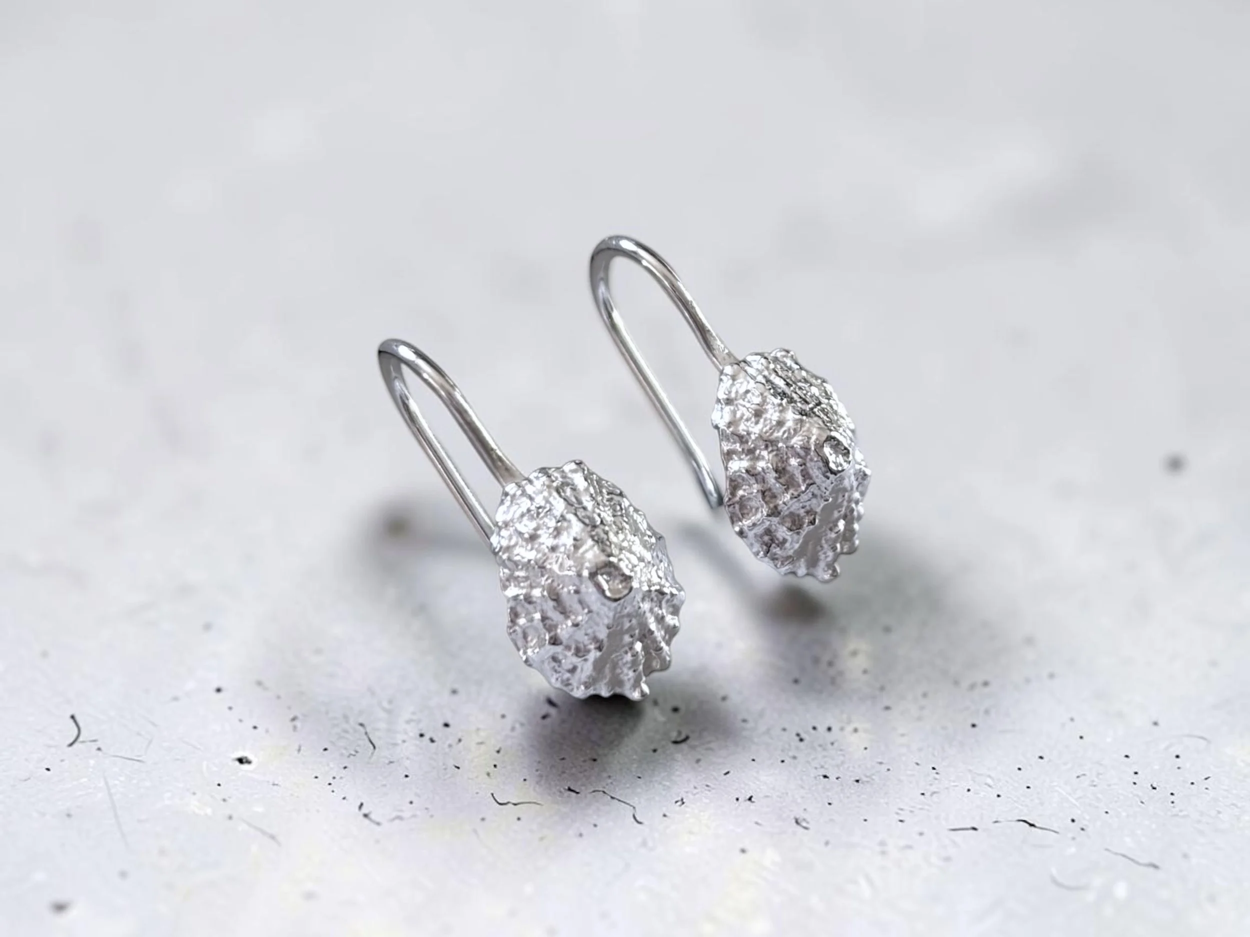 Limpet Shell Earrings-Wire c.jpg